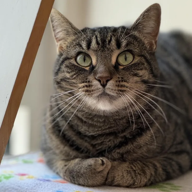 Queen Mom thumbnail 5