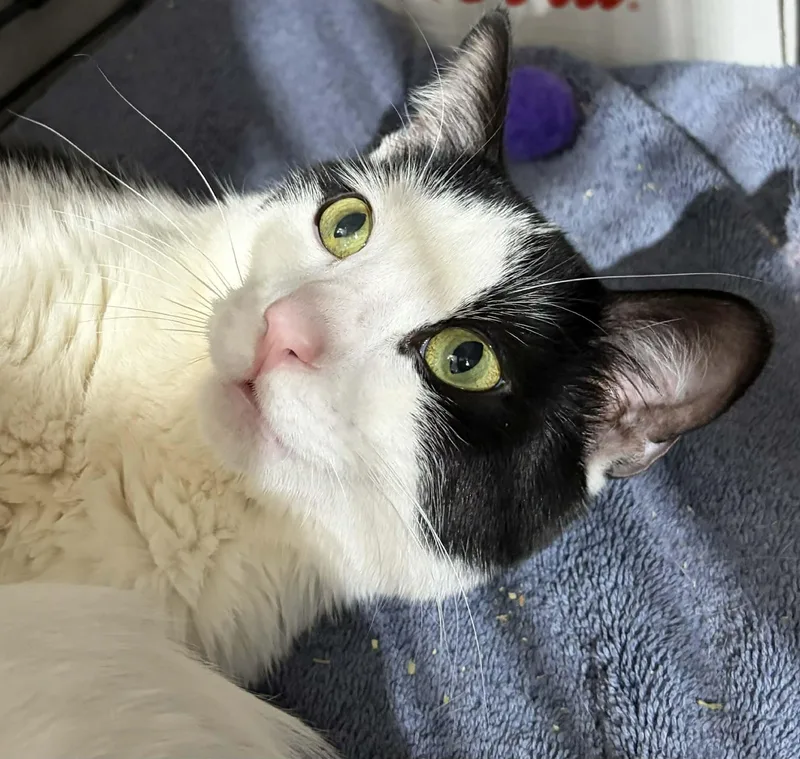 Rum & Coke thumbnail 2