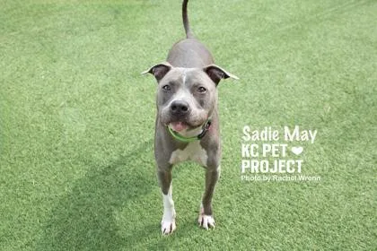 Sadie May