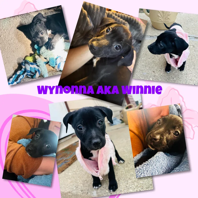 Wynonna "winnie" thumbnail 4