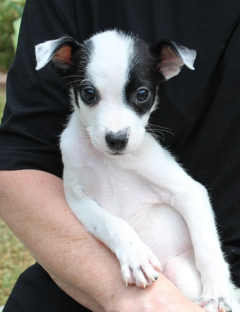 Judge Faith thumbnail 2