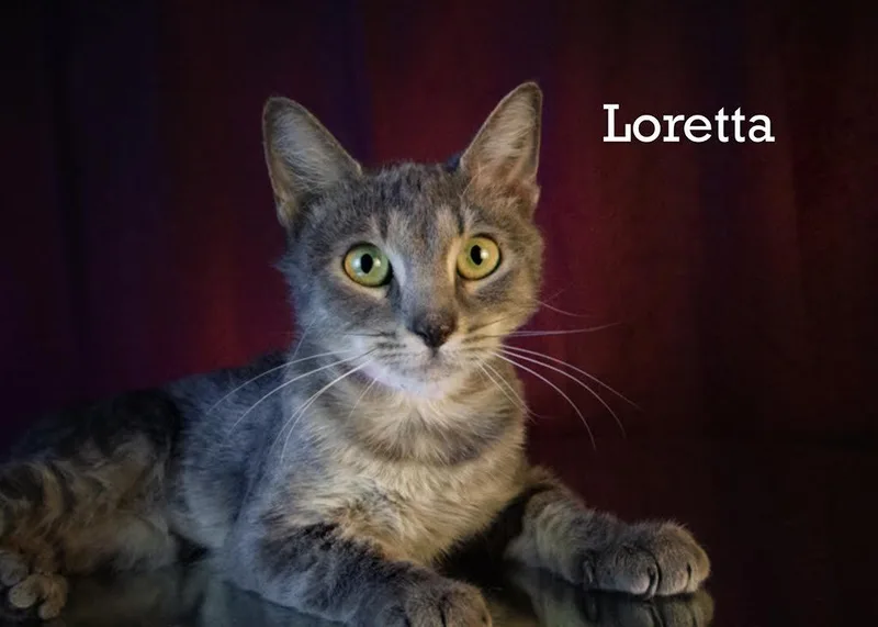 Loretta thumbnail 2