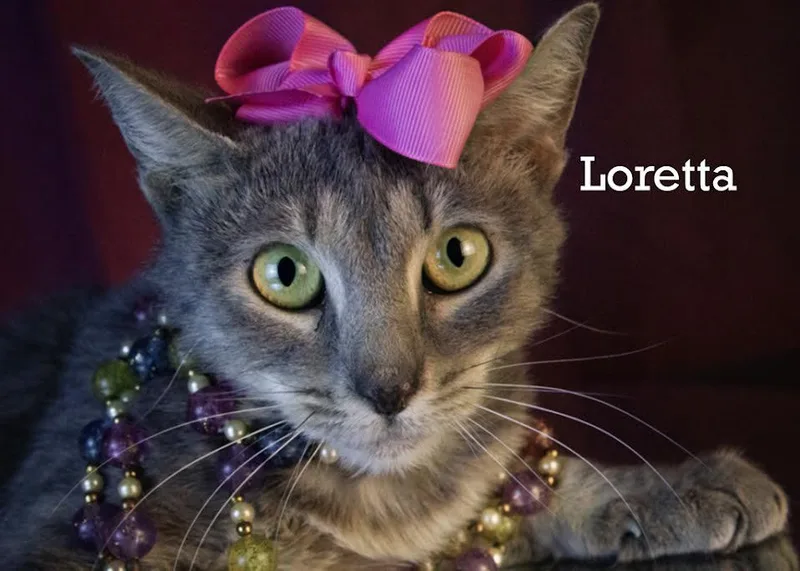 Loretta thumbnail 3