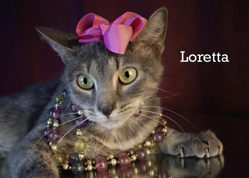 Loretta thumbnail 4