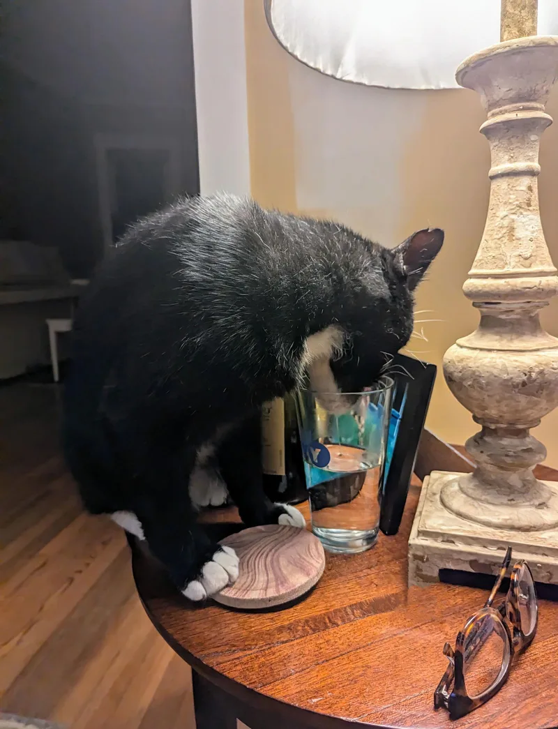 Fred Gwynne thumbnail 2