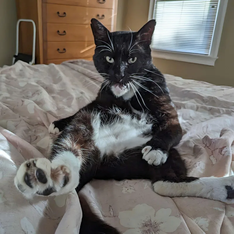 Fred Gwynne thumbnail 3