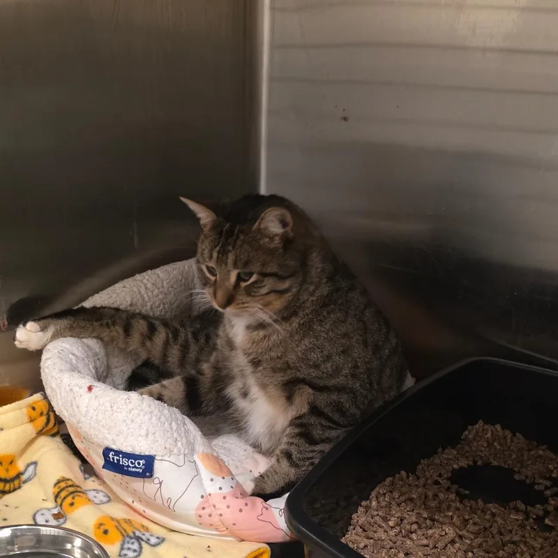 Clark Griswold thumbnail 4