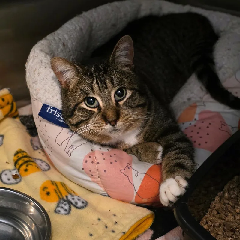 Clark Griswold thumbnail 6