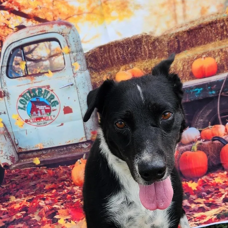 Emily Jum thumbnail 2