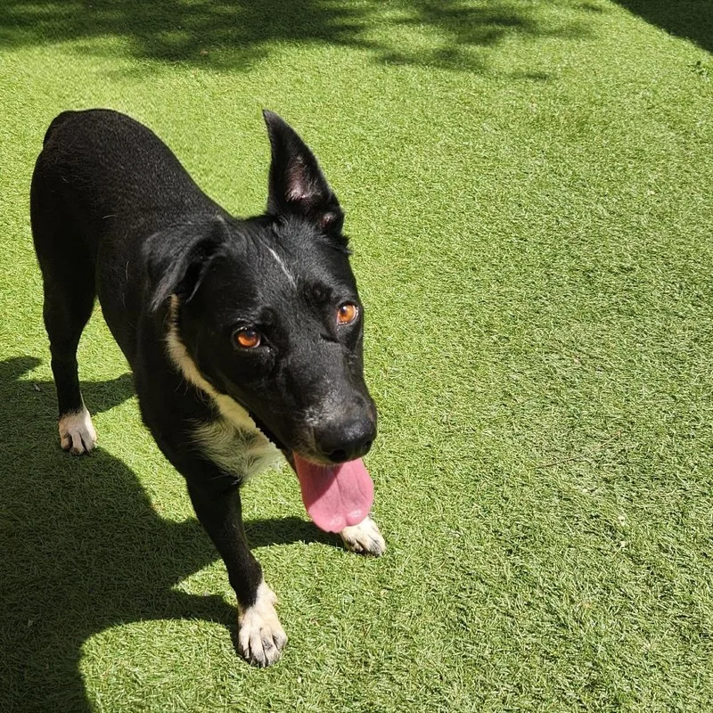 Emily Jum thumbnail 3