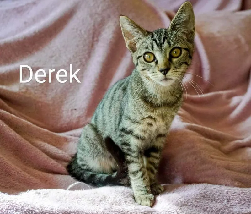 Derek thumbnail 2