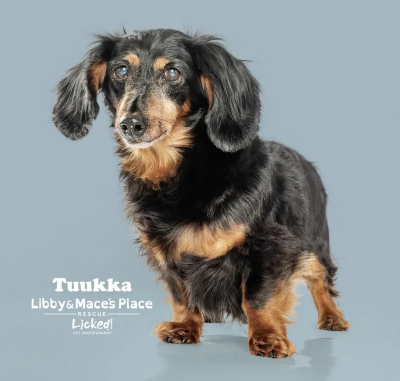 Tuukka