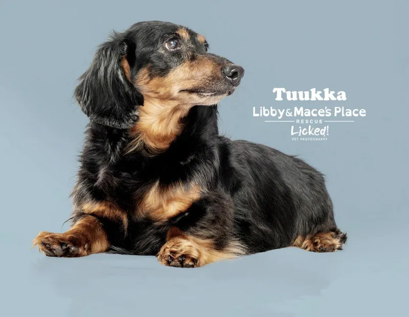Tuukka thumbnail 2