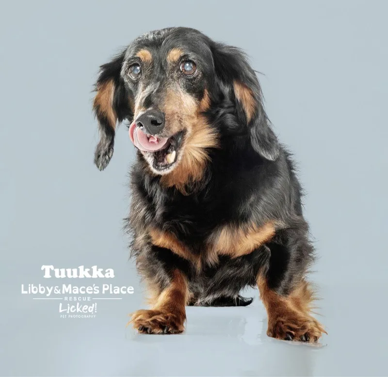 Tuukka thumbnail 3