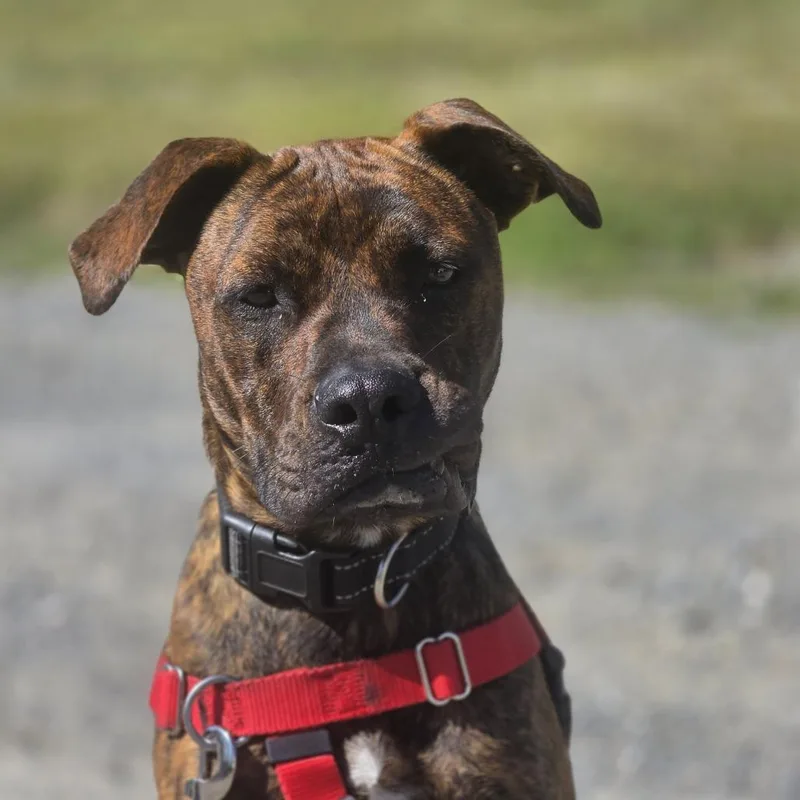 Florence thumbnail 2