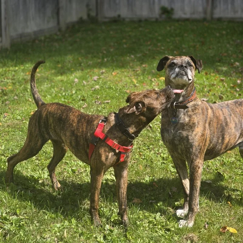 Florence thumbnail 3