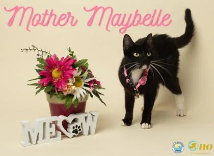 Mother Maybelle