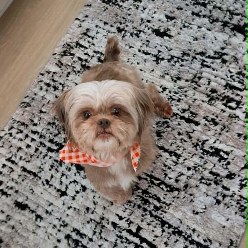 Lizzy thumbnail 3