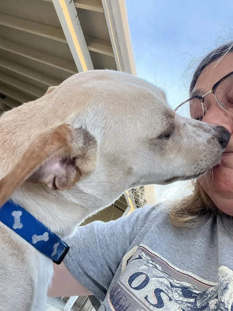BUDDY the best kisser thumbnail 2