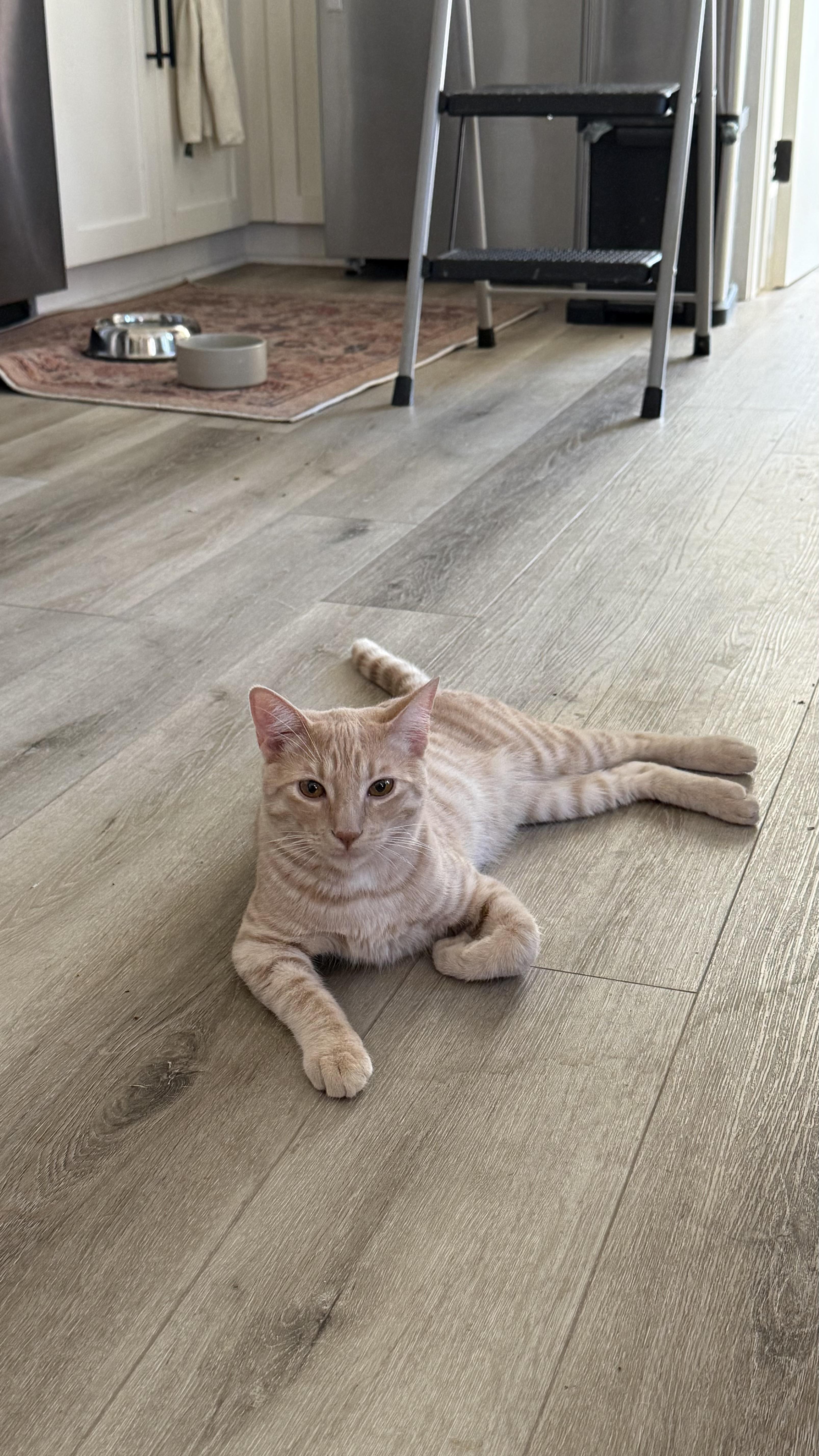 Phillip “sharing Brain Cell thumbnail 2