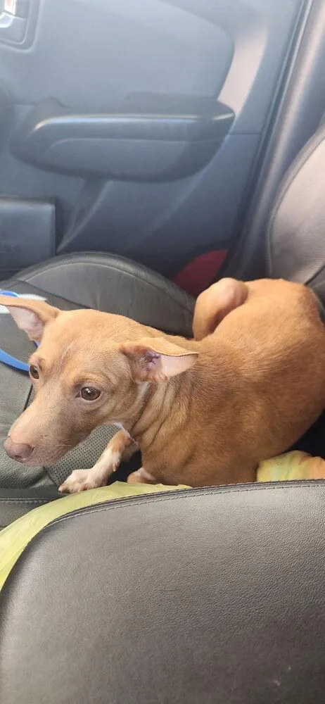 Lady Junebug thumbnail 2