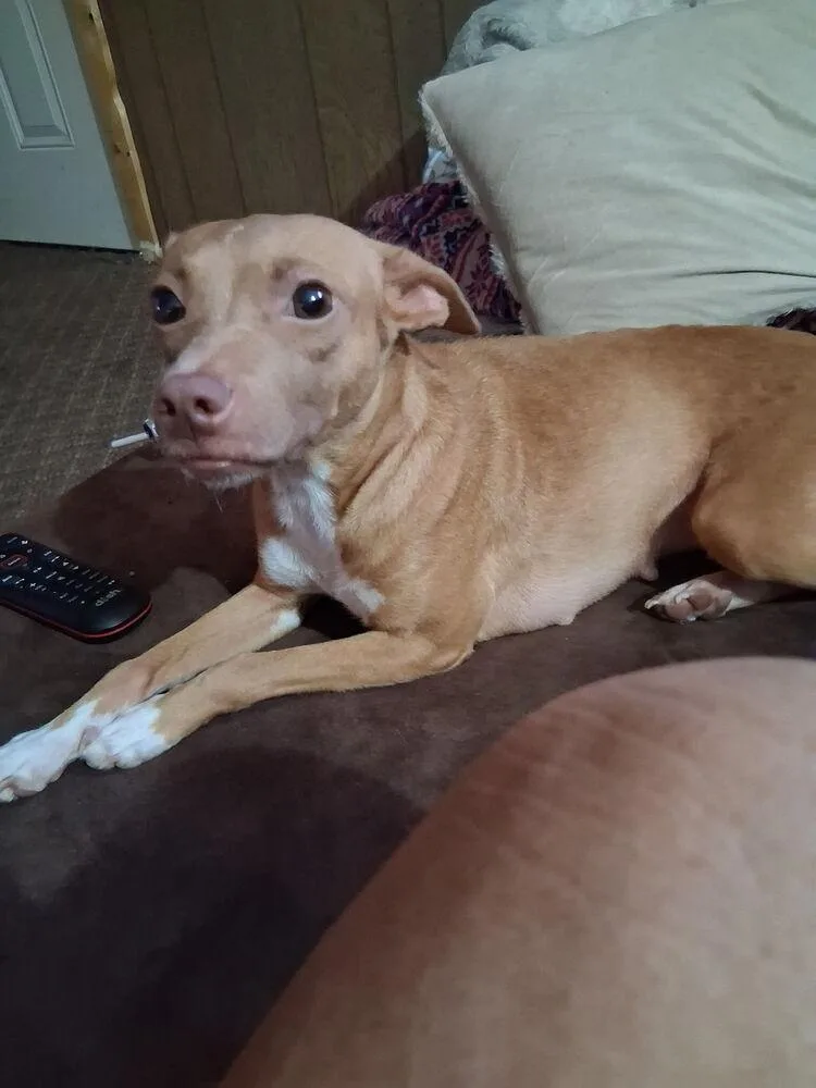 Lady Junebug thumbnail 3