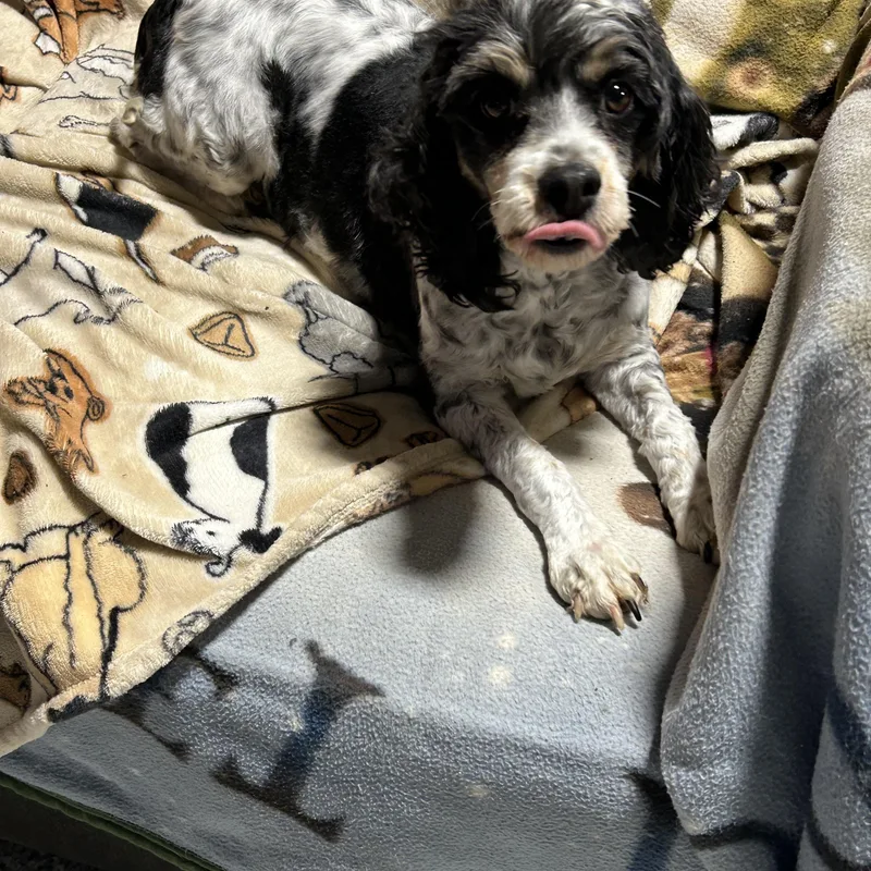 Megan. Super Friendly thumbnail 4