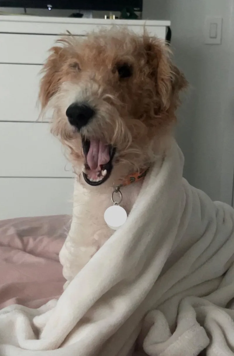 Tucker thumbnail 3