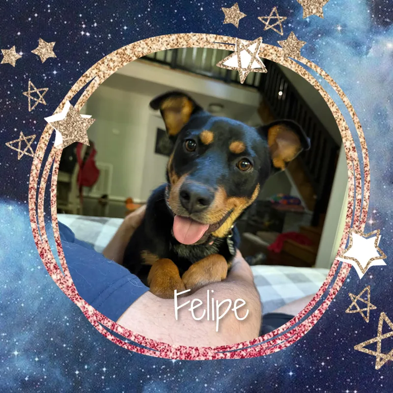 Felipe thumbnail 3