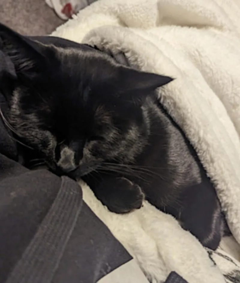 Nugget thumbnail 2