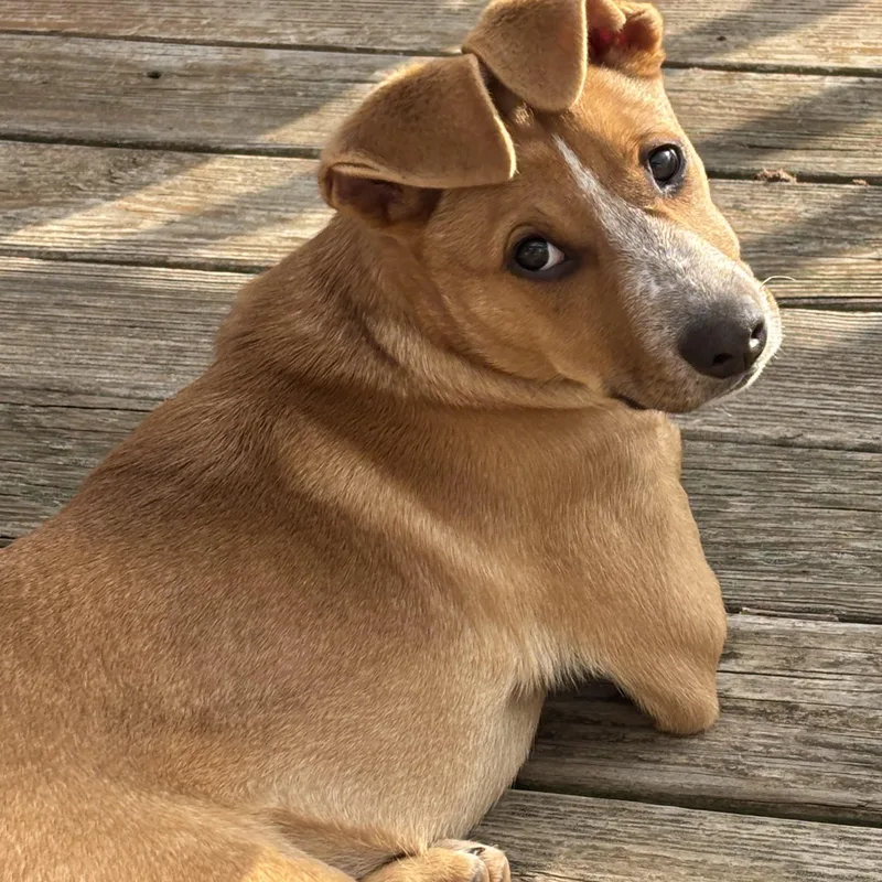 Maisy May thumbnail 2