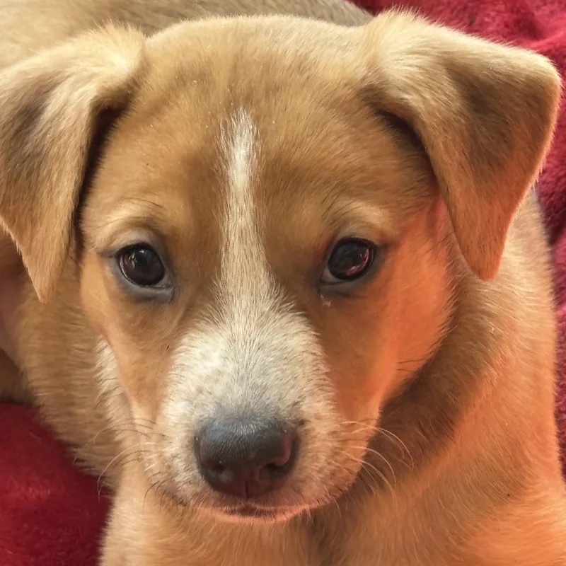 Maisy May thumbnail 3