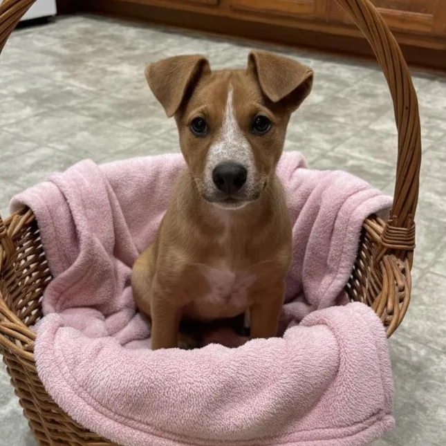 Maisy May thumbnail 4