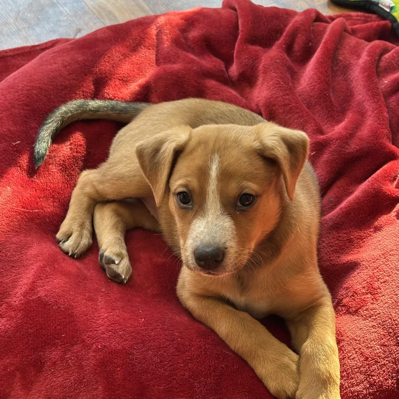 Maisy May thumbnail 5