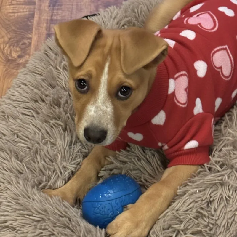 Maisy May thumbnail 6