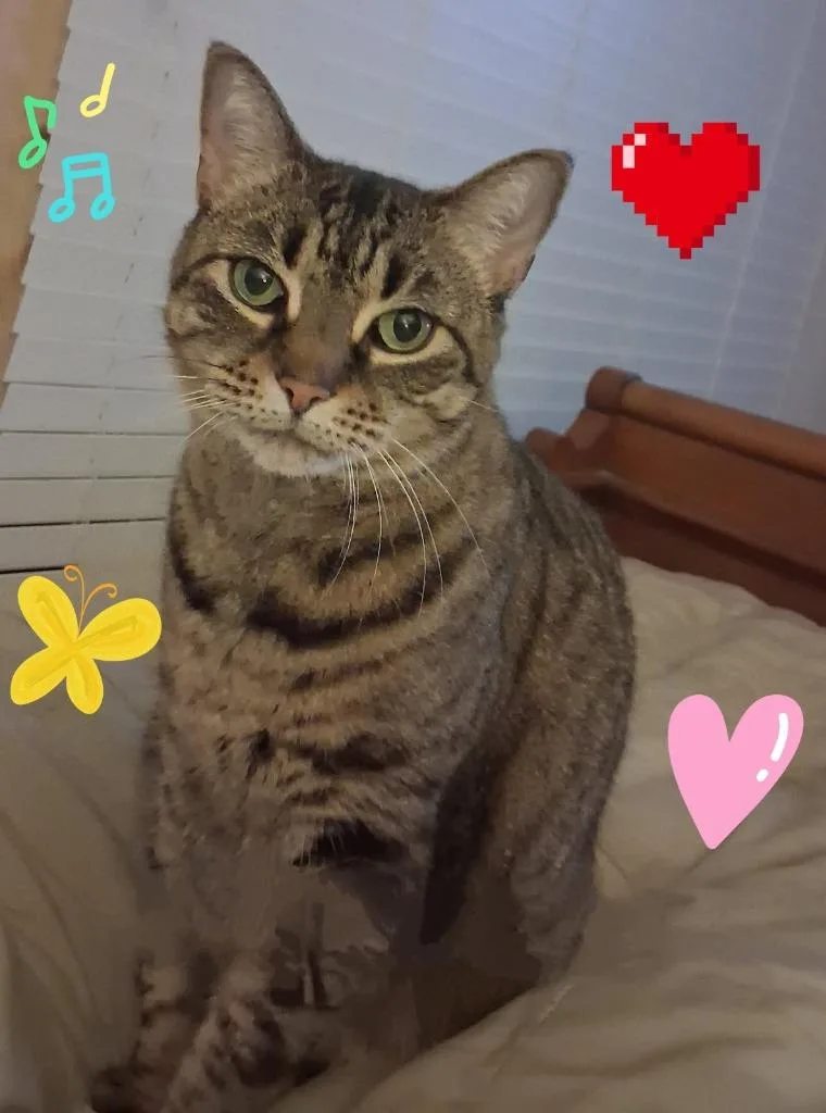 Sara