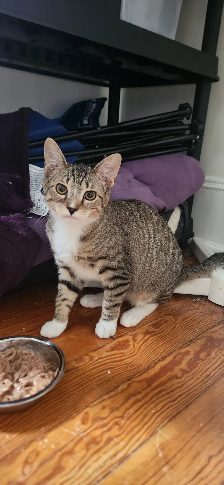 Timmy And Adam thumbnail 2