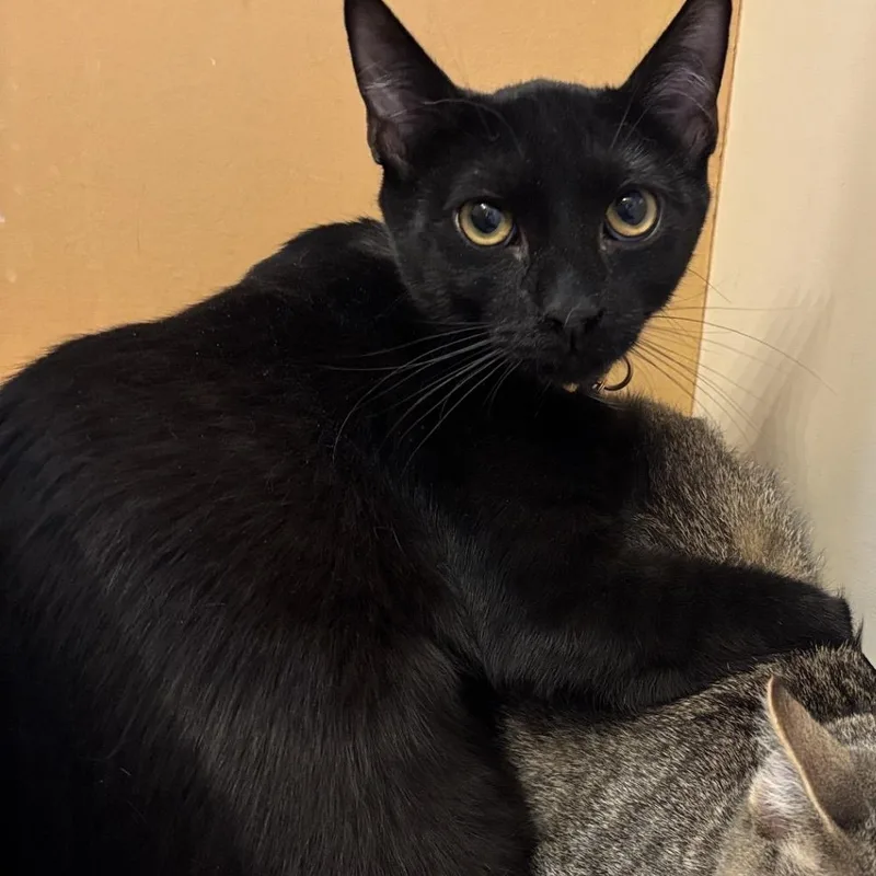 Timmy And Adam thumbnail 3