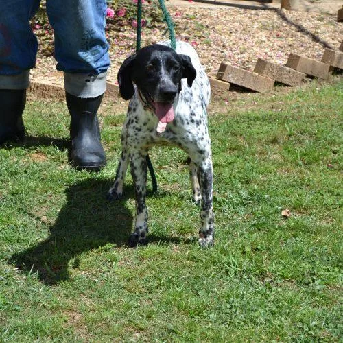 Debbie Raye thumbnail 2