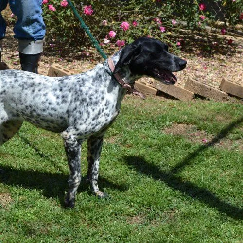 Debbie Raye thumbnail 3