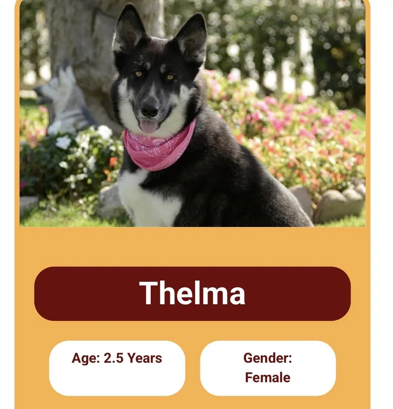 Thelma and Louise Contact thumbnail 2