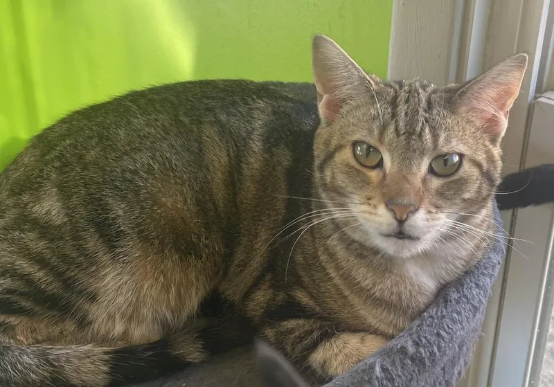 Princess Zotz thumbnail 3