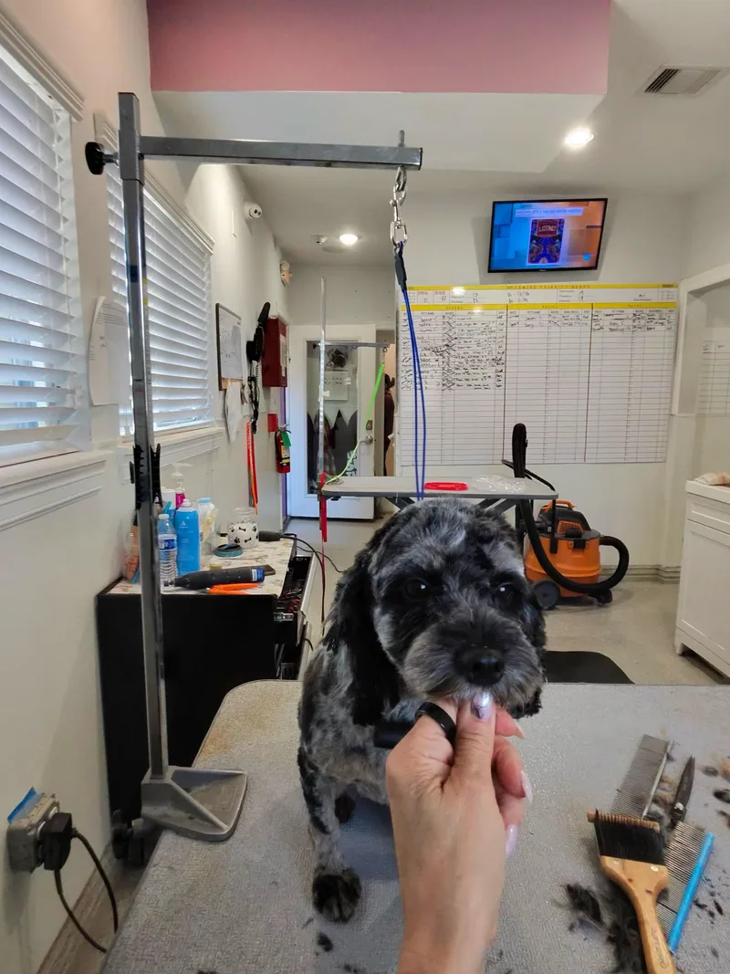 Smooch And Cali thumbnail 2