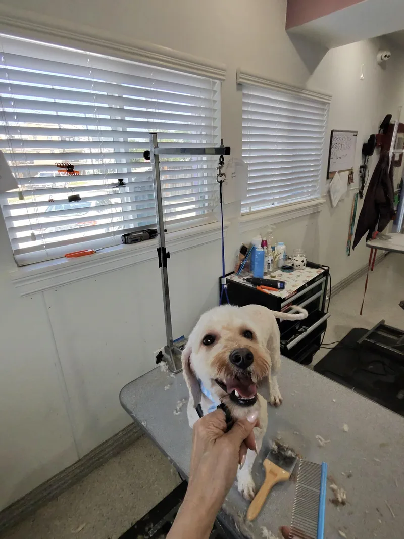 Smooch And Cali thumbnail 4