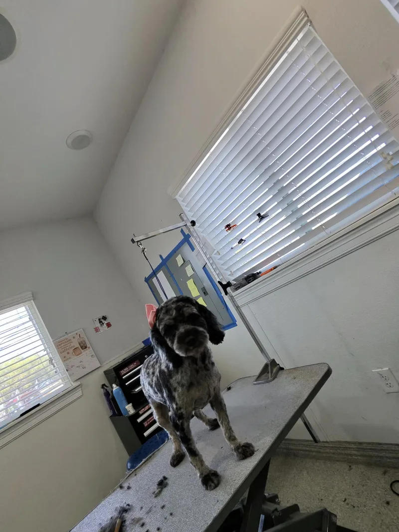 Smooch And Cali thumbnail 5