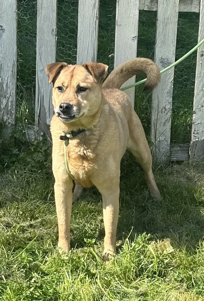 Sweet Sandy thumbnail 3