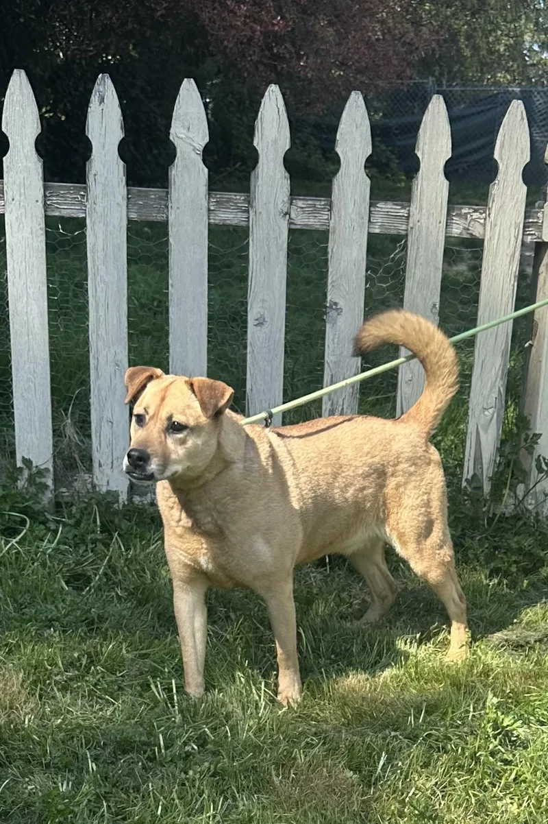 Sweet Sandy thumbnail 5