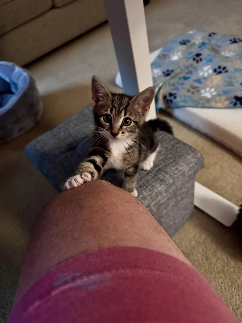 Mimi thumbnail 2