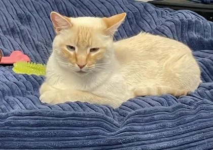 Finnigan thumbnail 2