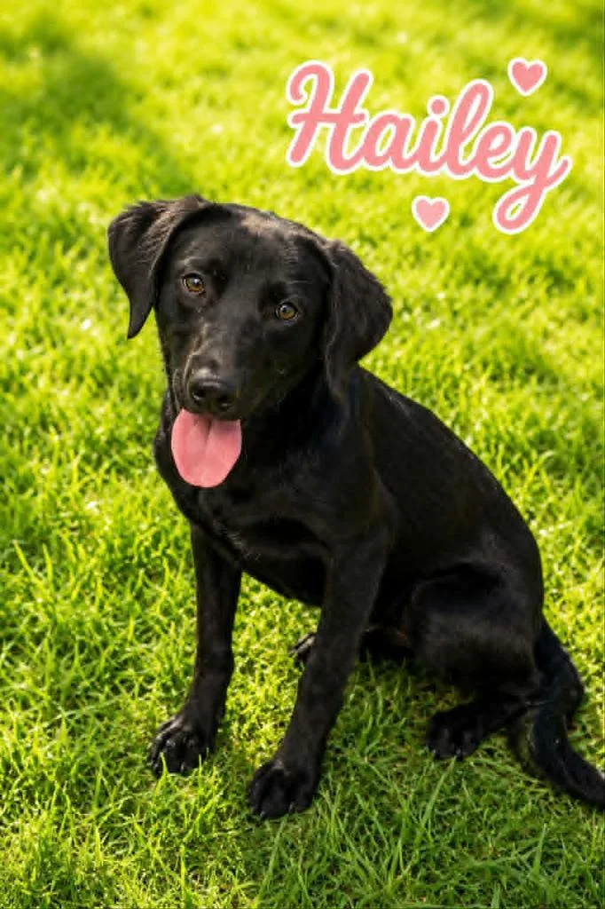 Hailey thumbnail 2